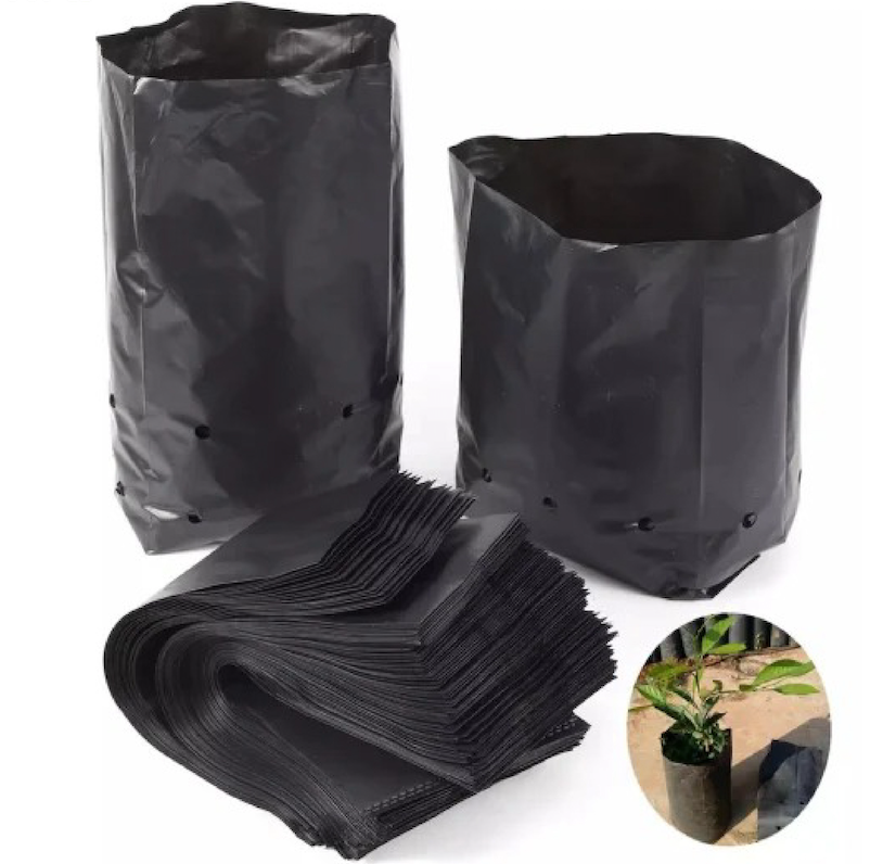 Seedling Bags