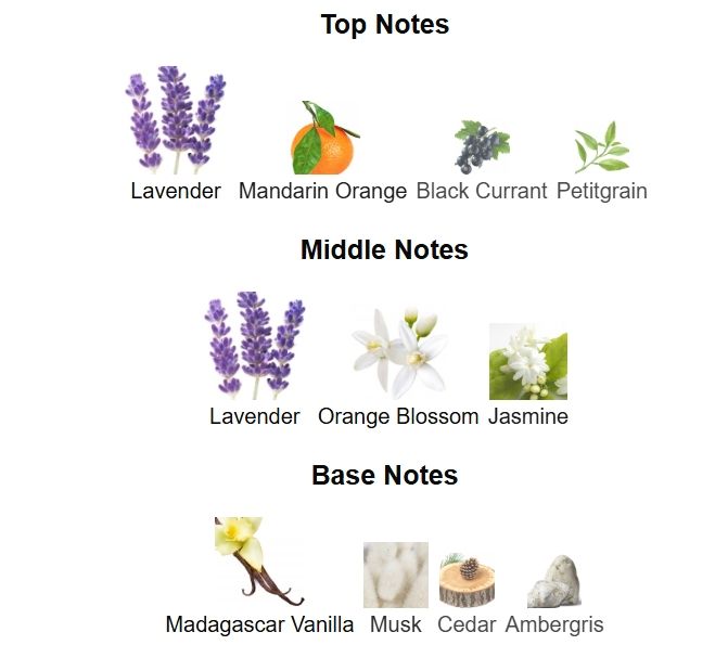 Yves Saint Laurent Libre Eau de Parfum Oriental Fougere Fragrance for Women Floral Eau De Parfum Bold Sophisticated