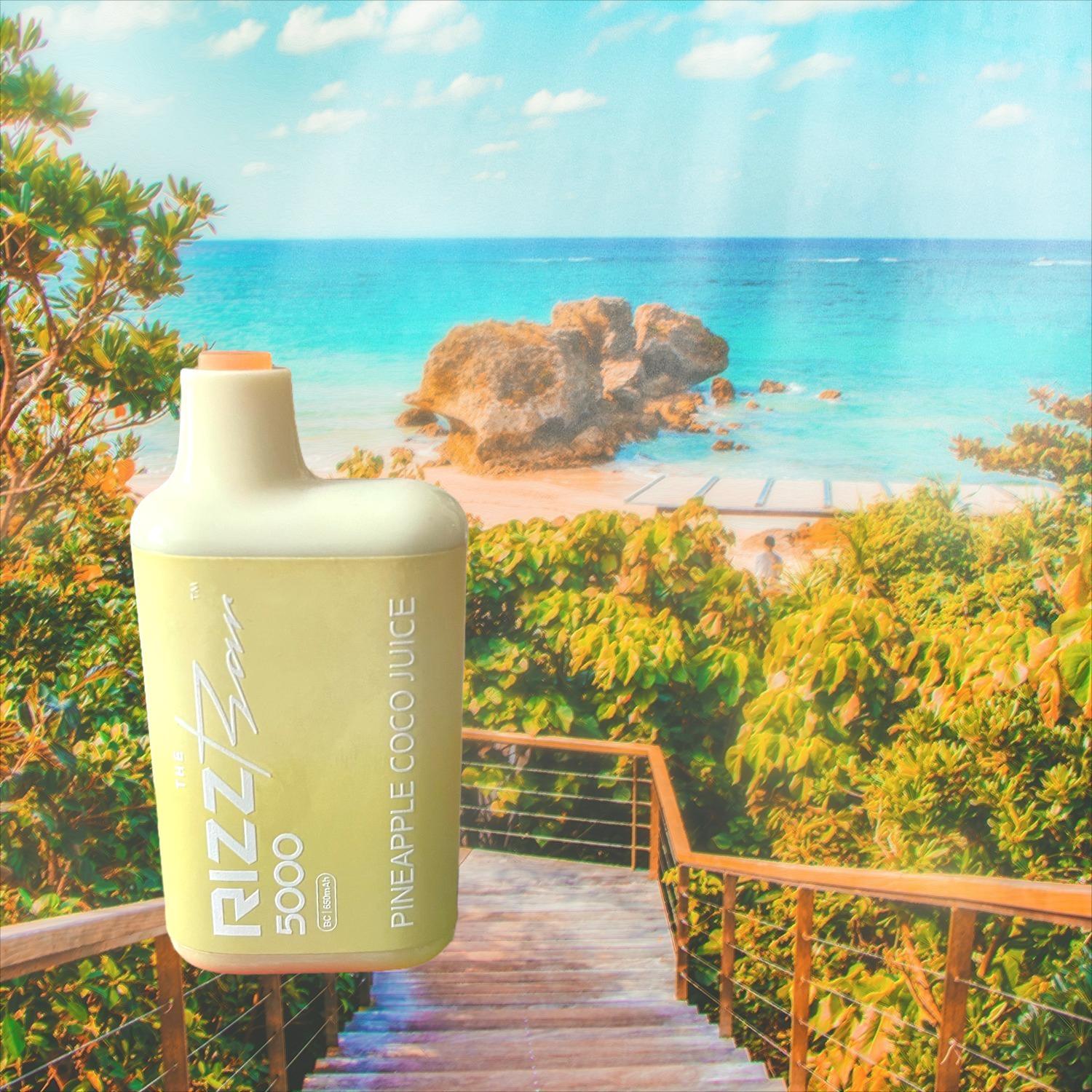 The Rizz Cloud Chasers Premium Disposable Smoker Vape Pen High Quality Constant Taste E-Cigarette Bar Stylish Sleek Portable Rechargeable 5% Nicot 10ml Capacity 5000 Puffs Smooth Flavor Vapors (18+)