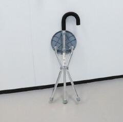 Walking Stick with Seat