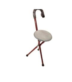 Walking Stick with Seat
