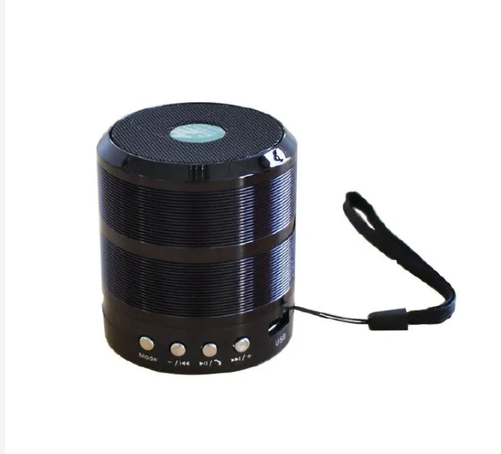 Metallic Mini Bluetooth Speaker - Wireless Portable Speaker with Rich Bass, Hands-Free Calling, FM Radio, SD/TF Card & USB Playback