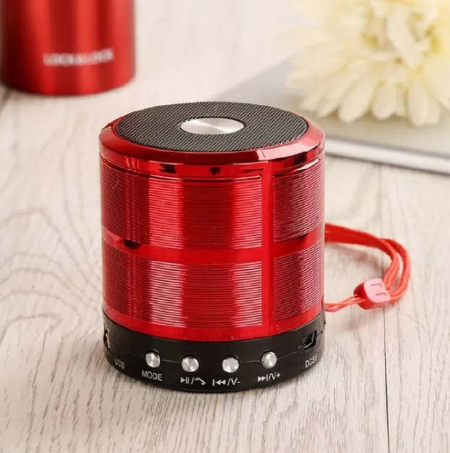 Metallic Mini Bluetooth Speaker - Wireless Portable Speaker with Rich Bass, Hands-Free Calling, FM Radio, SD/TF Card & USB Playback