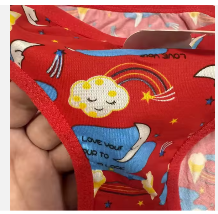 6PCS Little Girls' Comfortable and Quick-Dry Floral Panties Comfortable Panties for Kids Aged 5-8 Years6-Pack Girls' Floral Printed Briefs  Cotton Blend, Quick-Dry, Stretch Waistband for School & Play