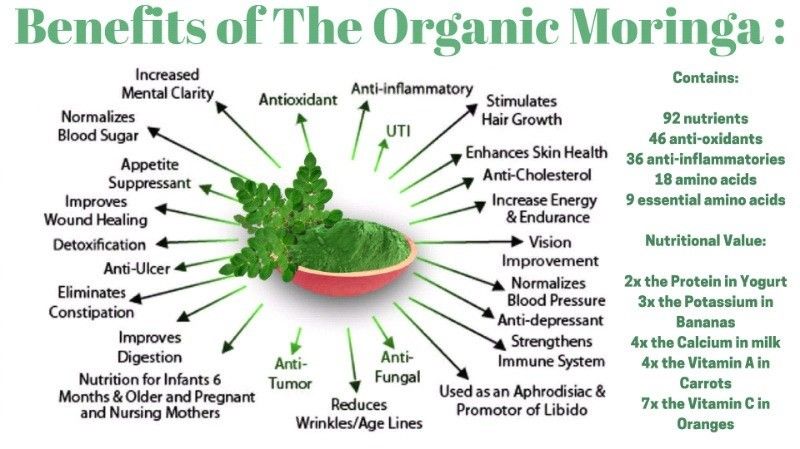 Moringa Leaf Powder-Organic & Raw Moringa Oleifera, Digestive Health, High Fiber, Great Source of Calcium, Iron, Vitamins A & E, Naturally boosts Energy, Metabolism & Immunity, Joints and Bone Health