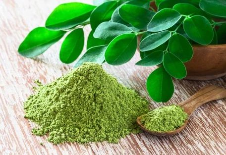 Moringa Leaf Powder-Organic & Raw Moringa Oleifera, Digestive Health, High Fiber, Great Source of Calcium, Iron, Vitamins A & E, Naturally boosts Energy, Metabolism & Immunity, Joints and Bone Health