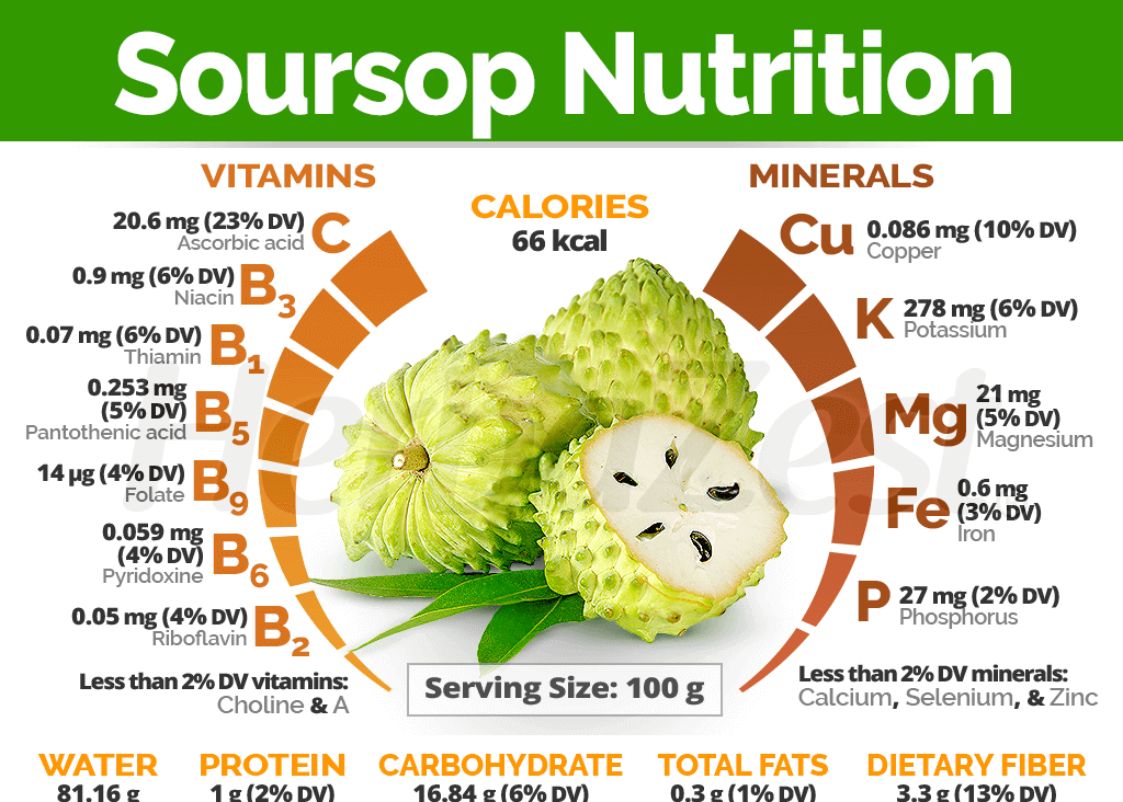 Soursop Leaf Tea Powder (Graviola Powder) - Inhibits Growth of Cancer Cells, Improves Sleep & Reduces Anxiety, Immune Booster, Blood Sugar & Blood Pressure Regulation.