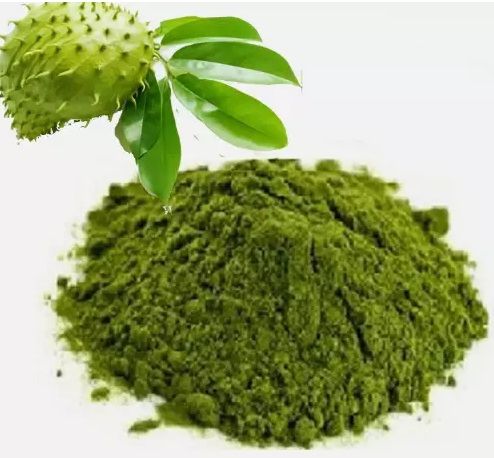 Soursop Leaf Tea Powder (Graviola Powder) - Inhibits Growth of Cancer Cells, Improves Sleep & Reduces Anxiety, Immune Booster, Blood Sugar & Blood Pressure Regulation.