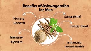 Ashwagandha Powder- Reduces Anxiety and Stress, Increase Testosterone, Libido & Fertility, Reduce Menopause Symptoms, Mood Enhancer, Support Strength & Natural Energy, Help in Hormonal Imbalances.