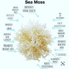Sea Moss Powder- Promotes Weight Loss and Detox, Increase Libido and Fertility, Support Gut health & Thyroid Function, Boost Healthy Immune System