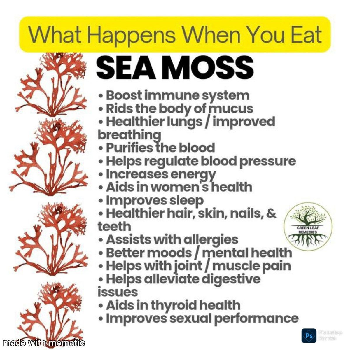 Sea Moss Powder- Promotes Weight Loss and Detox, Increase Libido and Fertility, Support Gut health & Thyroid Function, Boost Healthy Immune System