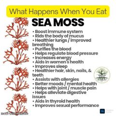 Sea Moss Powder- Promotes Weight Loss and Detox, Increase Libido and Fertility, Support Gut health & Thyroid Function, Boost Healthy Immune System