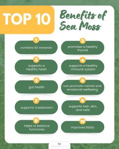 Sea Moss Powder- Promotes Weight Loss and Detox, Increase Libido and Fertility, Support Gut health & Thyroid Function, Boost Healthy Immune System