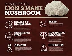 Lion's Mane Extract Powder - Reduces Symptoms of  Attention Deficit Hyperactivity Disorder (ADHD), Reduces Difficult Concentrating & Slow Learning in Kids,  Help in Speech Development in Children.