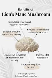 Lion's Mane Extract Powder - Reduces Symptoms of  Attention Deficit Hyperactivity Disorder (ADHD), Reduces Difficult Concentrating & Slow Learning in Kids,  Help in Speech Development in Children.