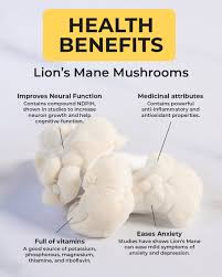 Lion's Mane Extract Powder - Reduces Symptoms of  Attention Deficit Hyperactivity Disorder (ADHD), Reduces Difficult Concentrating & Slow Learning in Kids,  Help in Speech Development in Children.