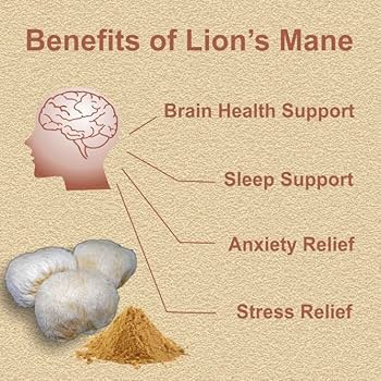 Lion's Mane Extract Powder - Reduces Symptoms of  Attention Deficit Hyperactivity Disorder (ADHD), Reduces Difficult Concentrating & Slow Learning in Kids,  Help in Speech Development in Children.