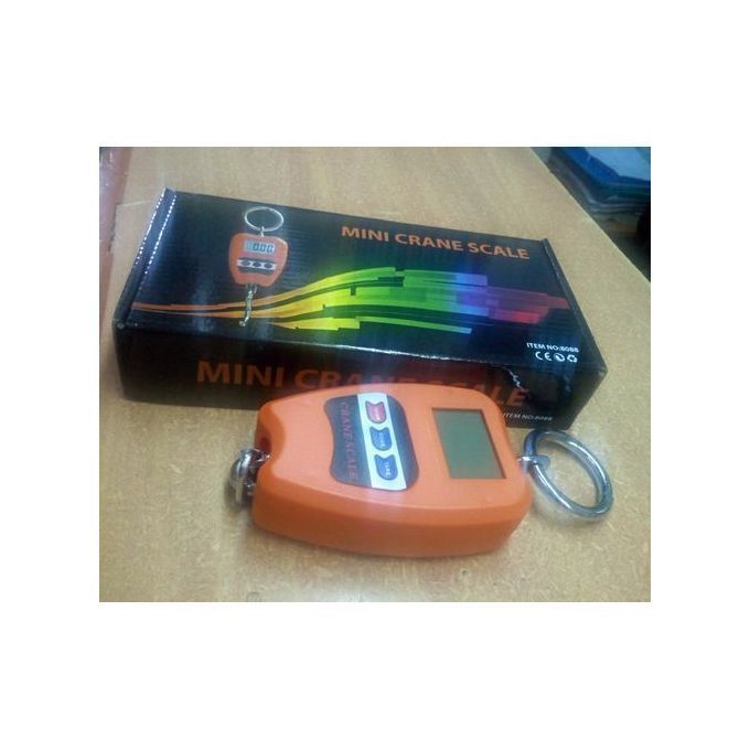 Mini Heavy Duty Portable Mini Crane - Digital Hanging Scale 200kg