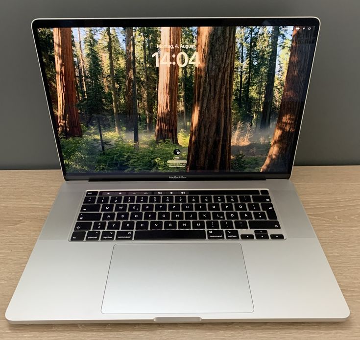2017 Apple MacBook Pro | 13-inch | i5 Processor | 16 GB RAM | 256GB SSD | Space Gray The 2017 MacBook Pro 13-inch is a sleek and powerful laptop designed for professionals, students, and creatives. Fe