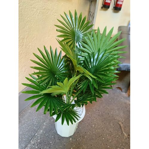 Artificial Palm Flower With Vase + Decor Stones