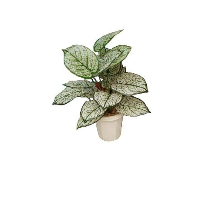Artificial Palm Flower , Decor Stones Plus A Vase - White with Green