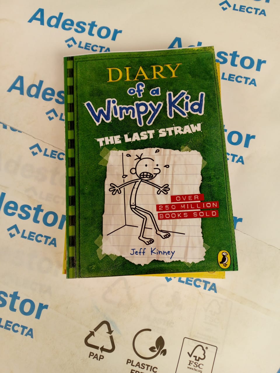 Diary of Wimpy Kid. The Last Straw (Diary of a Wimpy Kid)