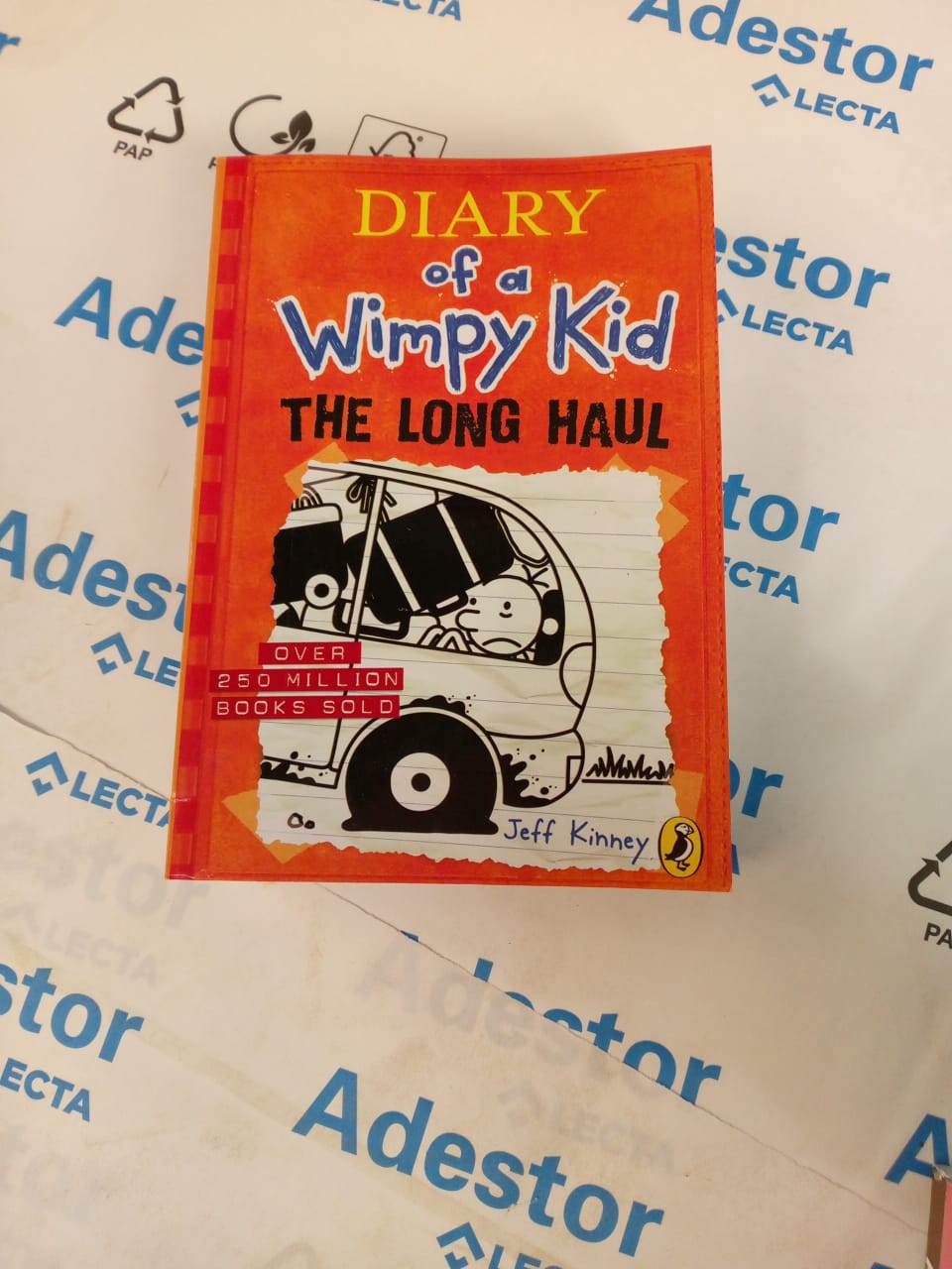 Diary of a Wimpy Kid: The Long Haul