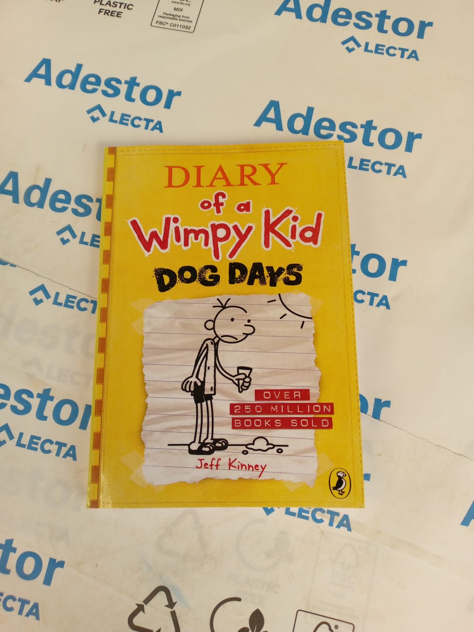 Dog Days (Diary of a Wimpy Kid, Book 4) (Volume