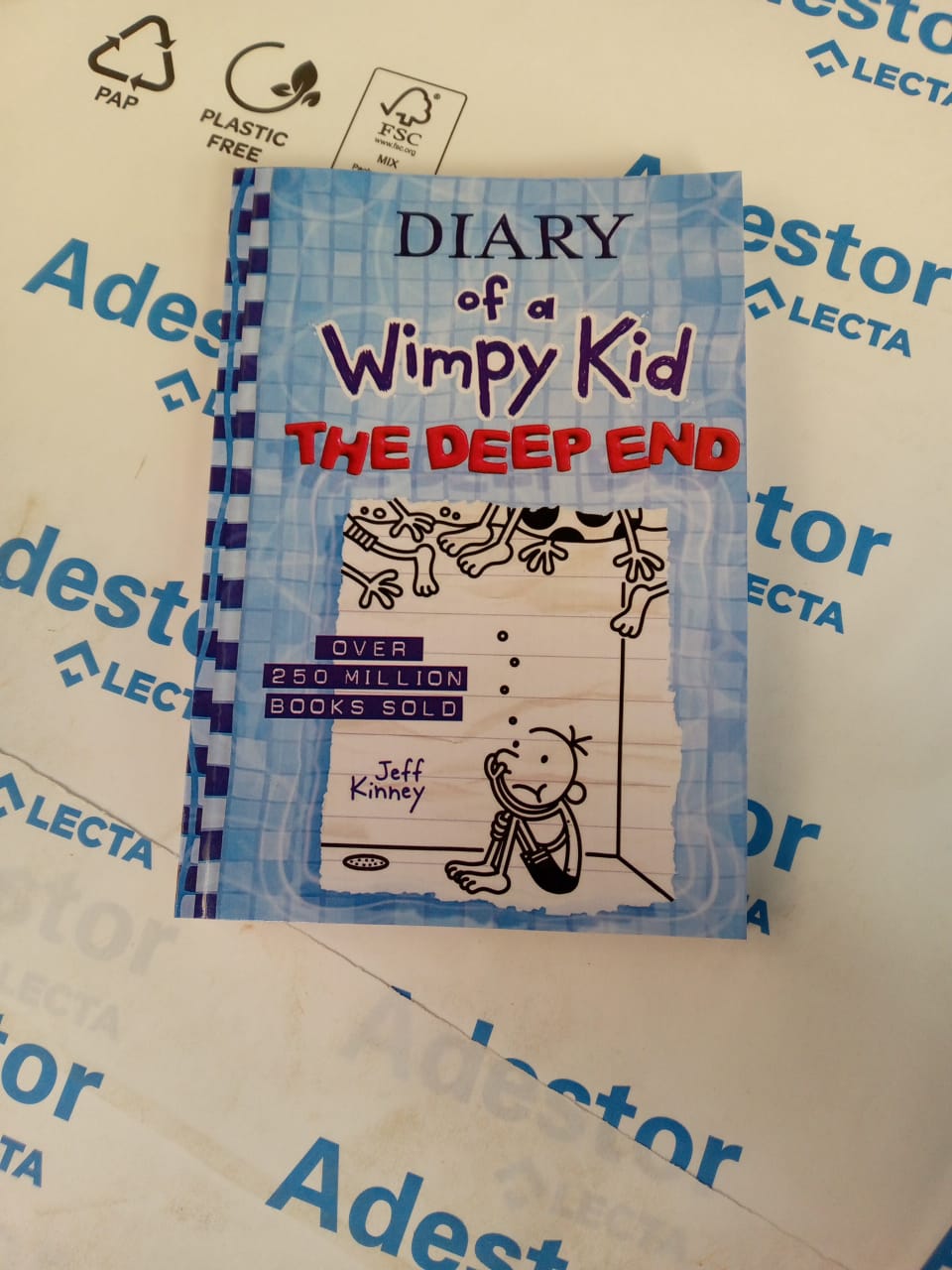 The Deep End (Diary of a Wimpy Kid #15)