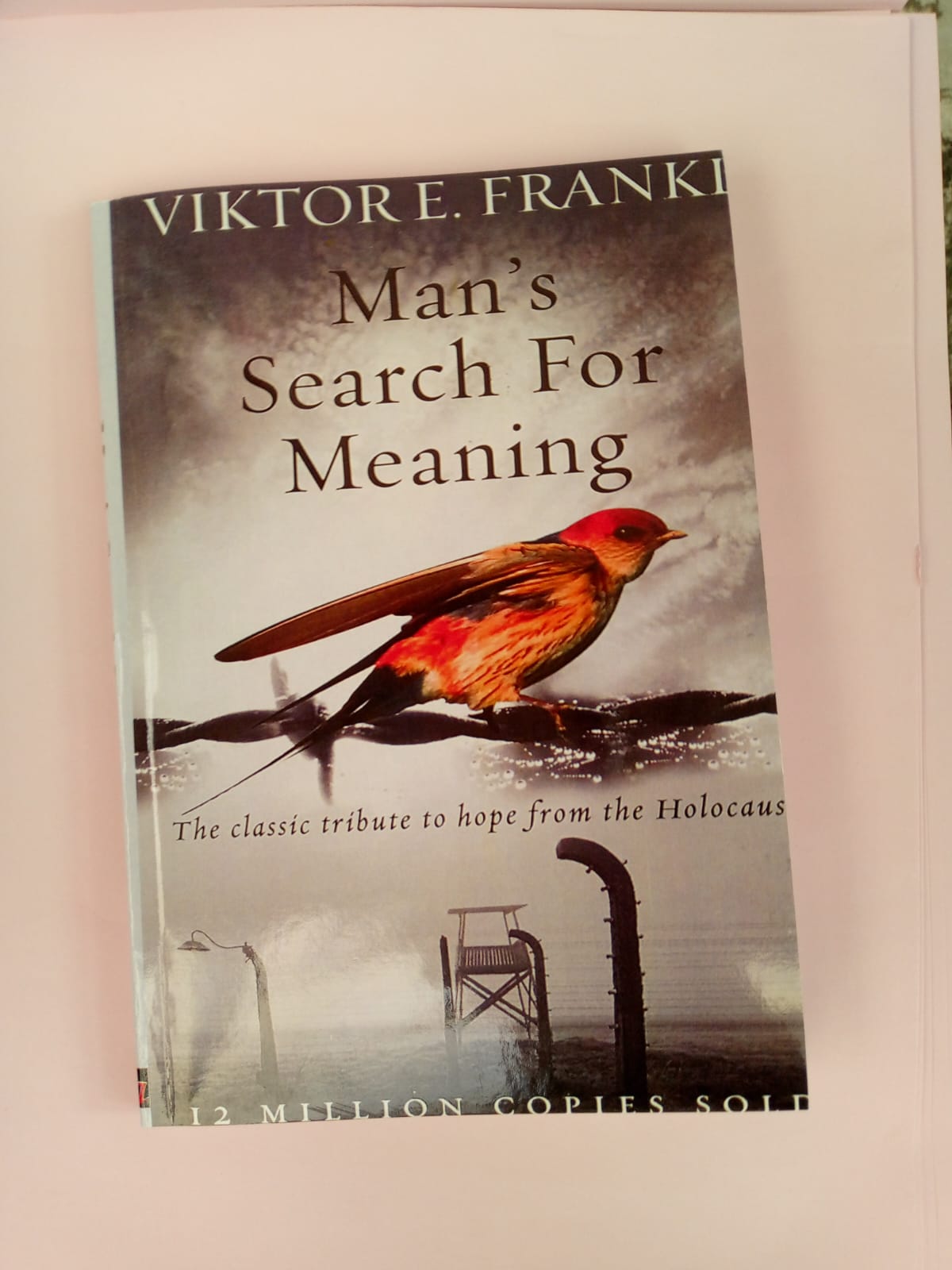 Man's Search for Meaning (OLD EDITION/OUT OF PRINT)