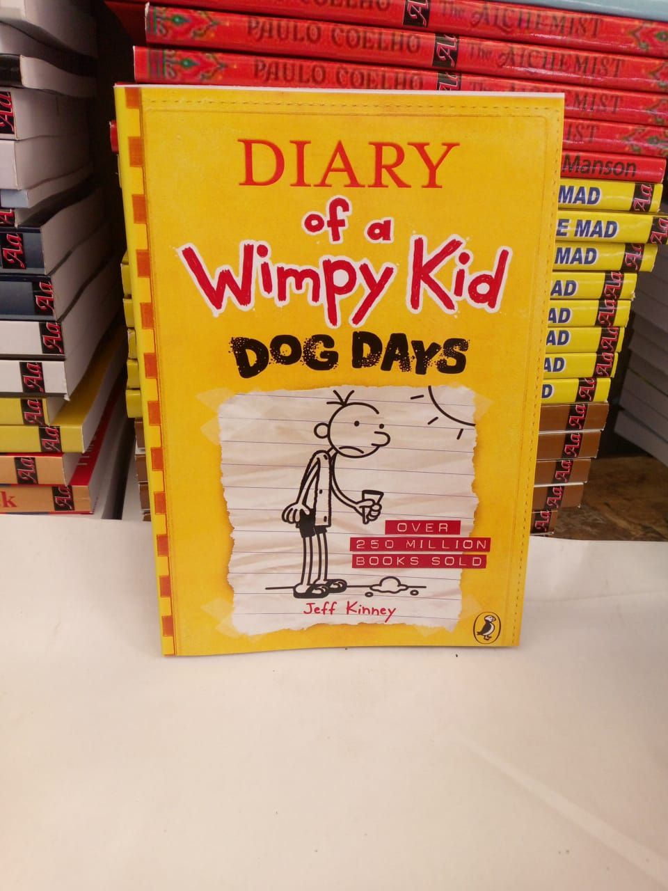 Diary of a Wimpy Kid: Dog Days (novel)
