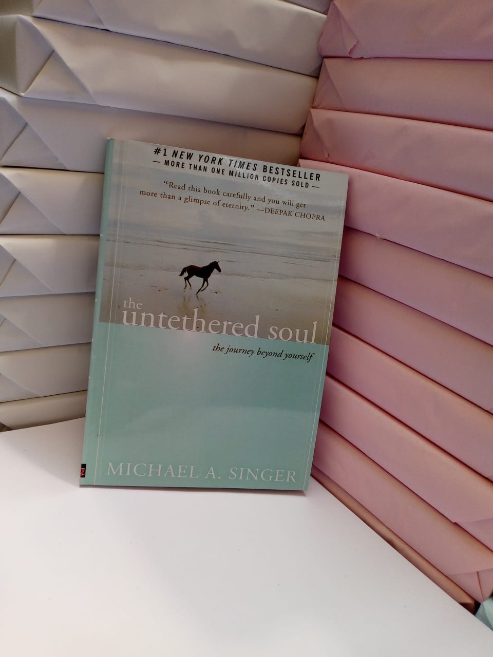 The Untethered Soul: The Journey Beyond Yourself