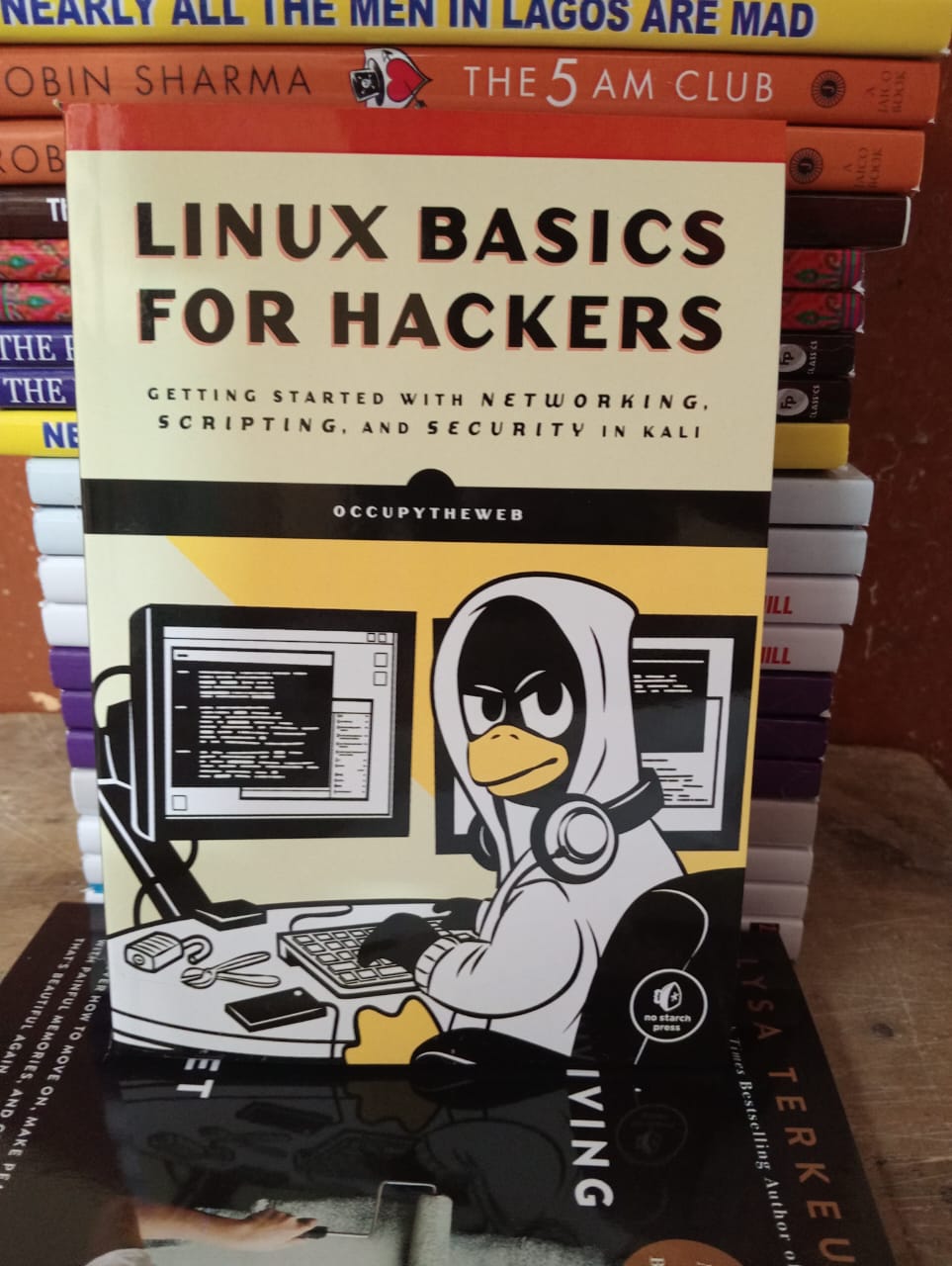 "Linux Basics for Hackers: Getting Started with Networking, Scripting, and Security in Kali" Author: OccupyTheWeb