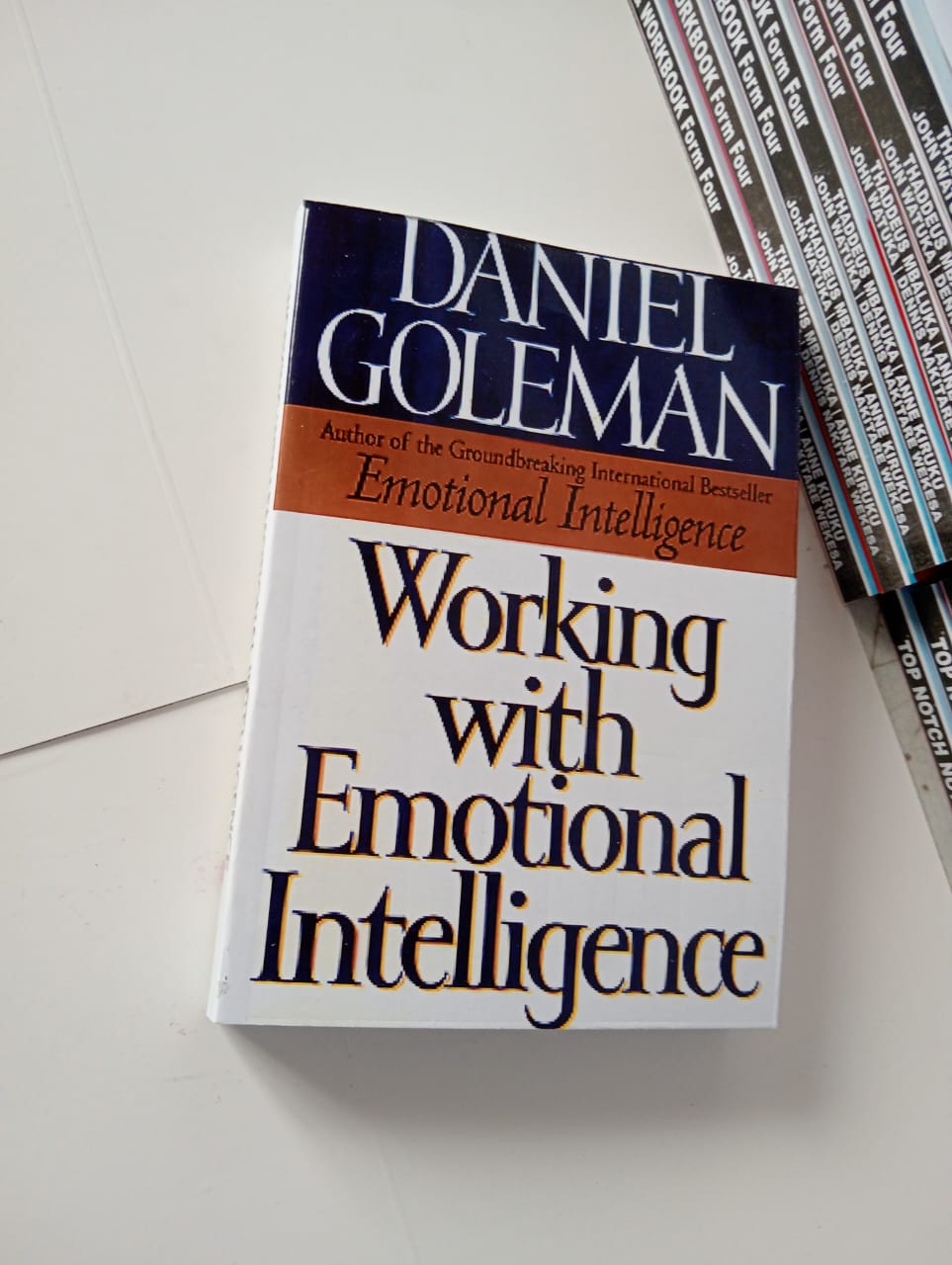 Working with Emotional Intelligence by Daniel Goleman