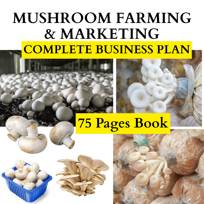Mushroom Farming & Marketing Complete Business Plan  aspects of mushroom farming, production, and marketing strategies