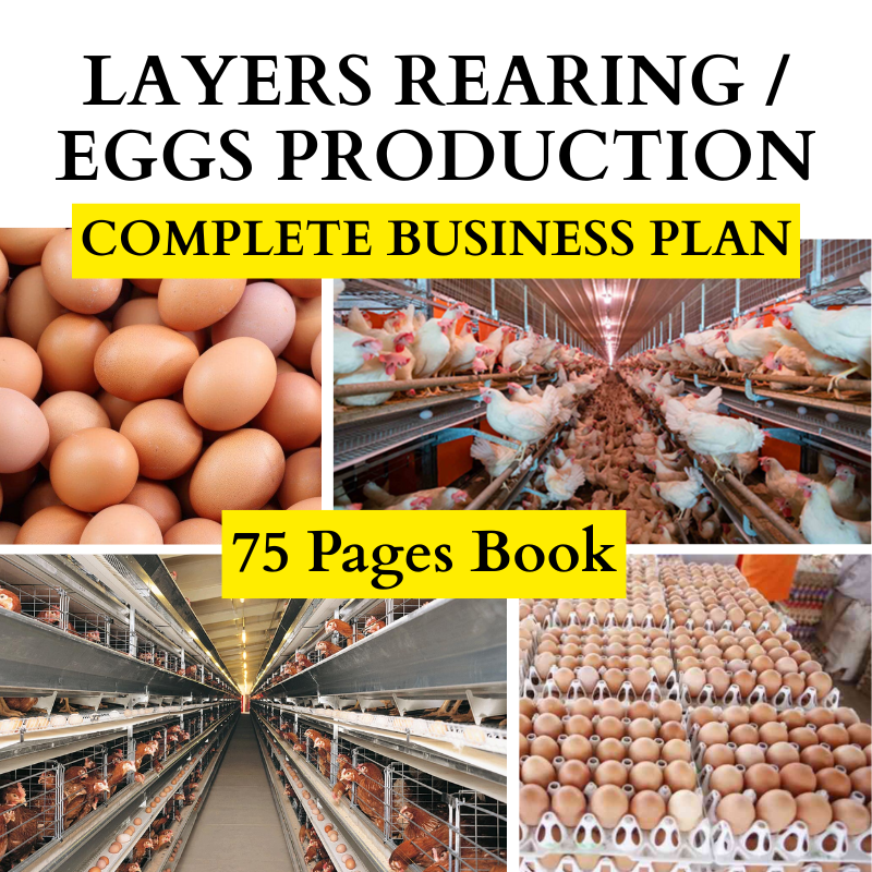 LAYERS REARING / EGGS PRODUCTION COMPLETE BUSINESS PLAN