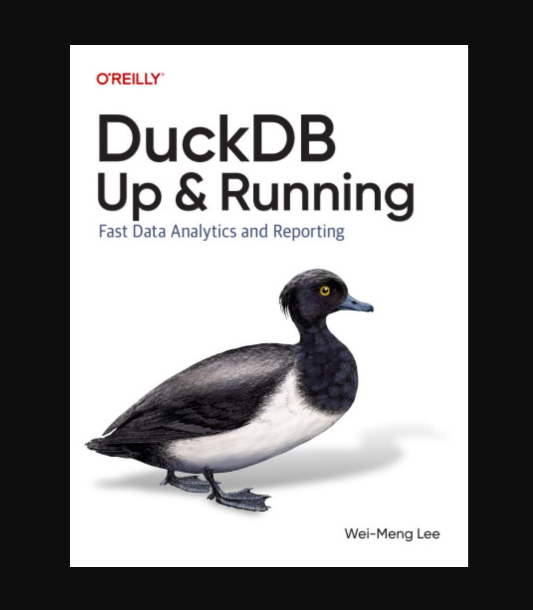 DuckDB Up & Running Book By Wei-Meng Lee