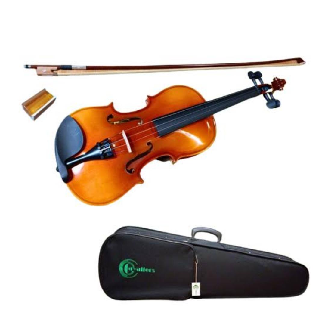 Violin 4/4 Full Size Professional Music Acoustic
