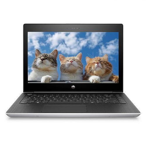 Brand New HP ProBook Mobile Thin Client Business Laptop, Intel Processor, 8GB RAM 256GB SSD, 13.3" Notebook, Webcam, WiFi, Windows 11 Pro Coding Fast Laptop