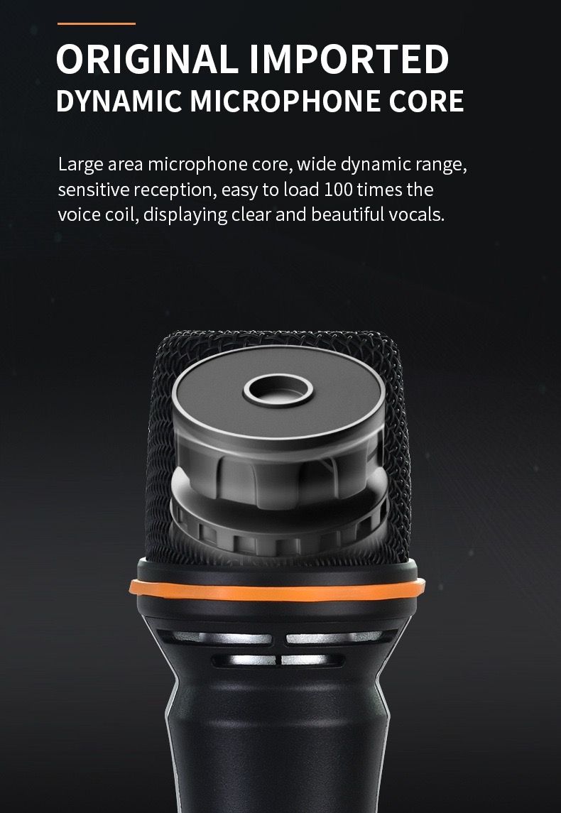 Wireless Microphone system 2-in-1 Set Rechargeable Handheld Mic for Home KTV & Singing