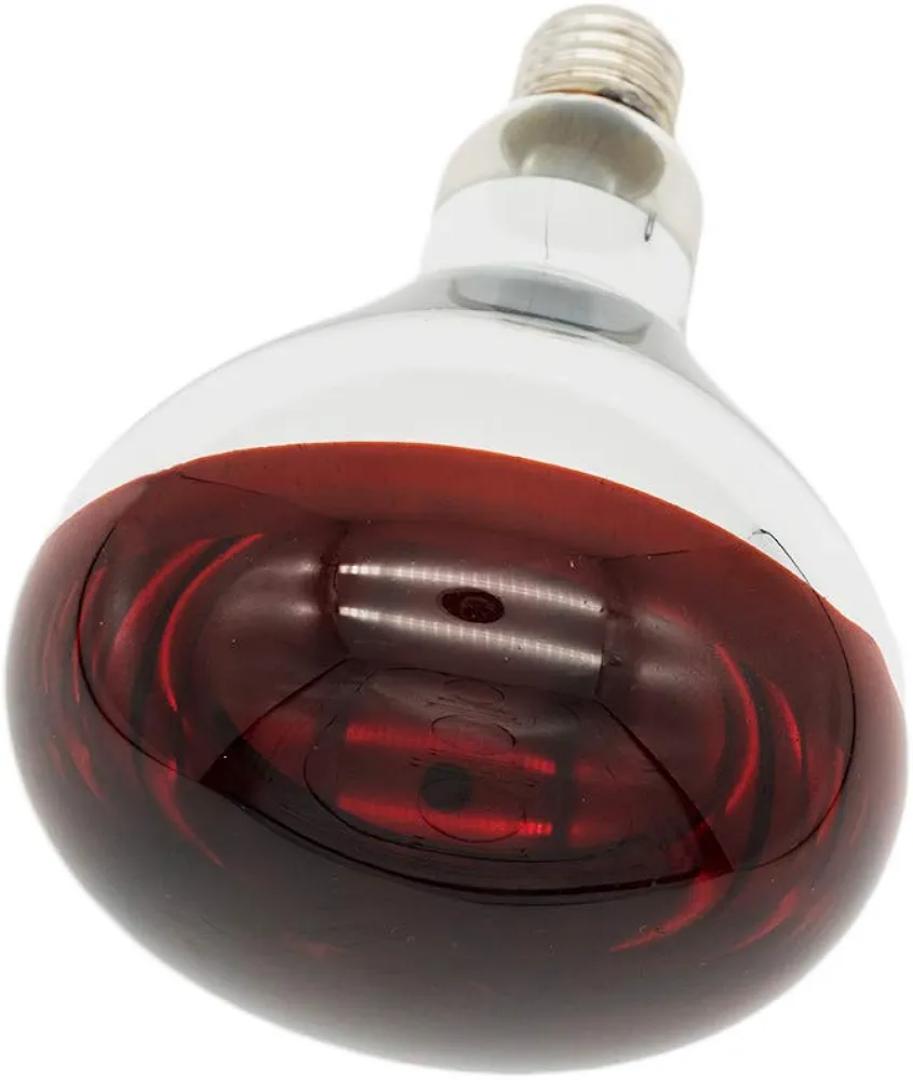 250 Watt Deep Red Infrared Heating Bulb for Chicken Farm, Pig Farm, Pets