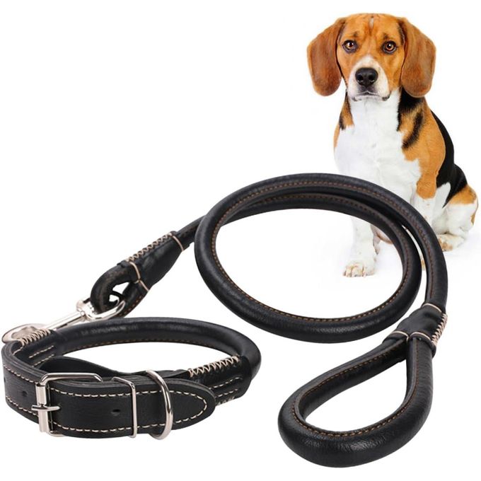 Complete set Grip Rolled up Leather Dog Collar & Leash