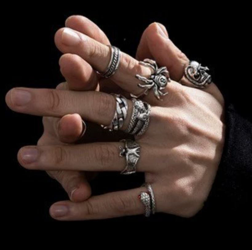6PCS Men's Retro Hip Hop Ring Set Frog Snake Skull Cool Punk Gothic Spider Combination Ring