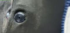 BUTTON SPY CAMERA