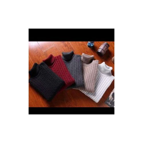 Fashion Pullnecks/Turtle Neck For Men