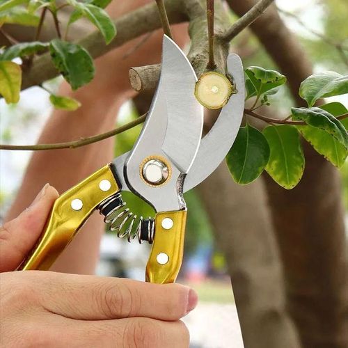 Pruning Scissors Garden Shears Pruner Garden Shears Pruner Branches Secateurs Orchard Flower Sharp Gardening Hand Florist Bonsai Cutters Mini Small Plant Floral Snips