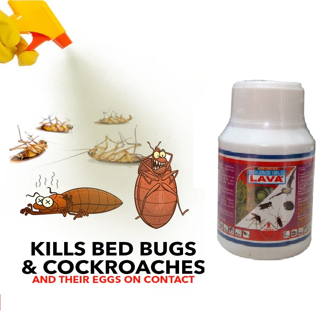 Lava Insecticide For Bedbugs And Cockroach DIY Pest Control Fumigation Insecticide for Roaches Fleas Bedbugs Flies and other Bugs