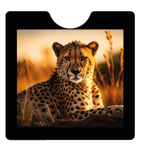 Car Insurance Card Holder Sticker Insurance Pocket Display Pocket The Big 5 Animal Print Custom Car Insurance Card Holder Sticker Display Pocket Windshield Electrostatic Sticker