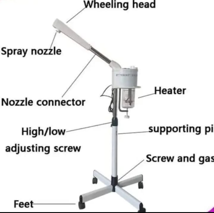 Fashion Portable Facial Steamer