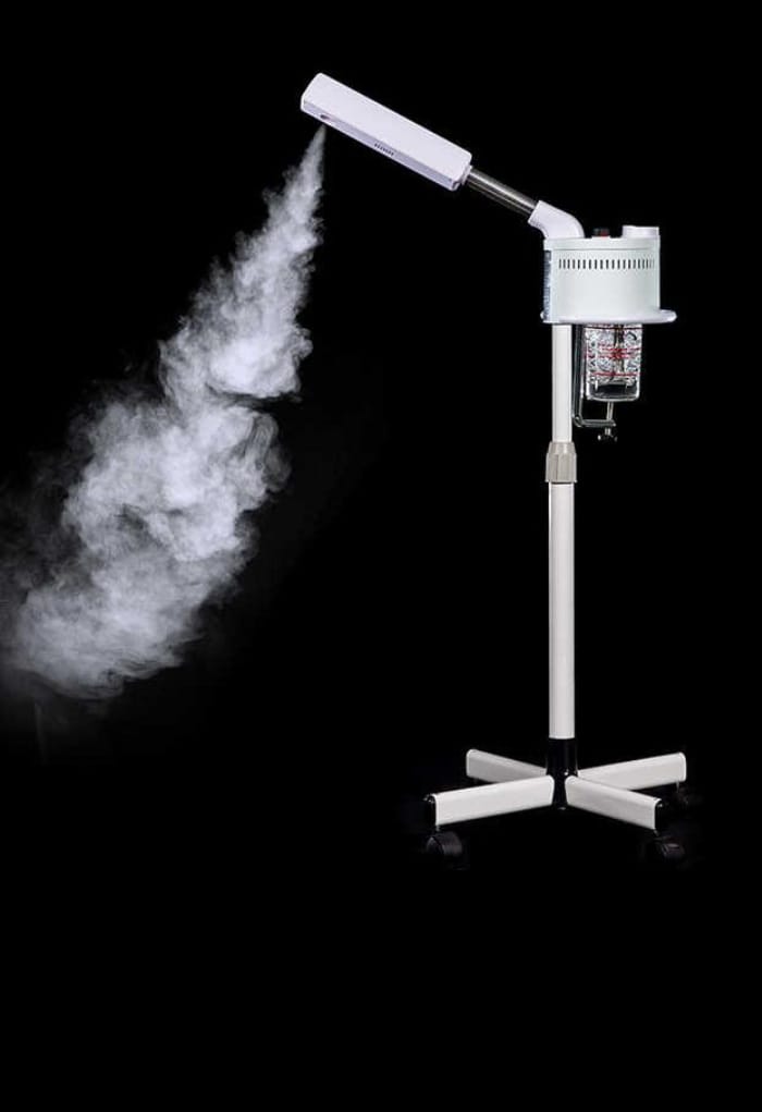 Fashion Portable Facial Steamer